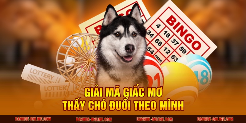 Mơ thấy chó đuổi theo mình