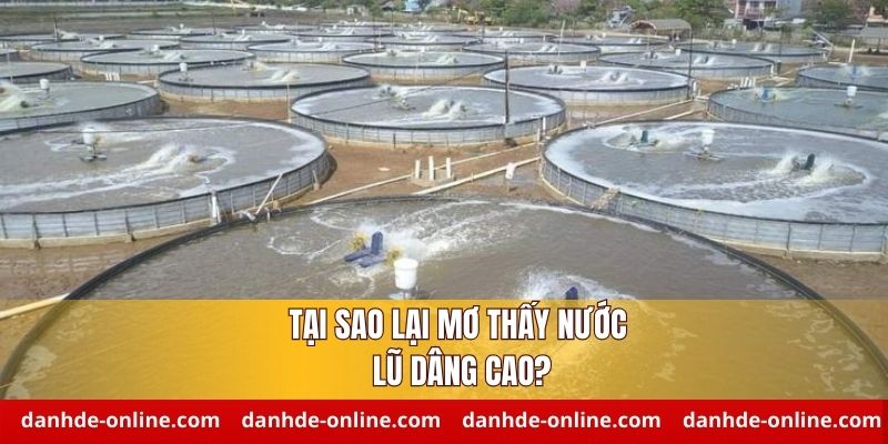 Giải Mã Giấc Mơ Thấy Nước Lũ Dâng Cao - Chốt Số Lô Đề Online 1 Giải mã lý do mơ thấy nước lũ dâng cao