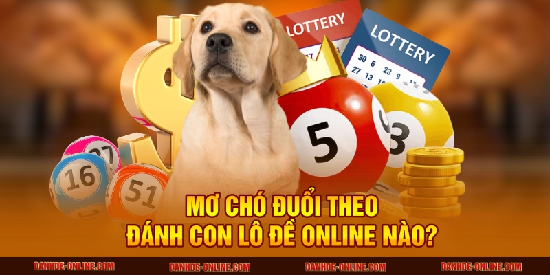 Giải Mã Giấc Mơ Thấy Chó Đuổi Theo Mình Tại Lô Đề Online 3 Mơ chó đuổi theo đánh con Lô Đề Online nào?