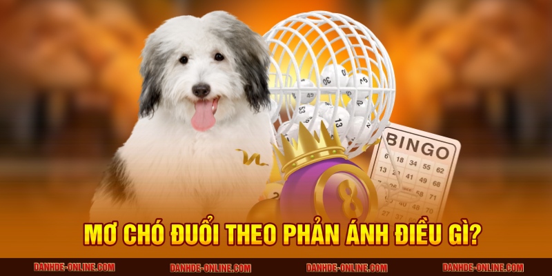 Giải Mã Giấc Mơ Thấy Chó Đuổi Theo Mình Tại Lô Đề Online 2 Mơ chó đuổi theo phản ánh điều gì?
