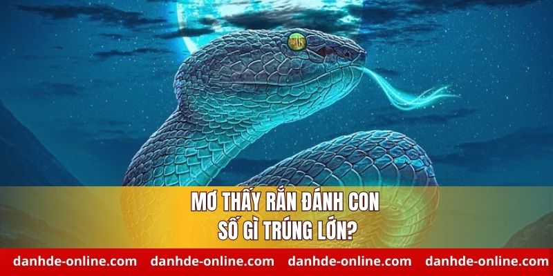 Ý nghĩa giấc mơ thấy rắn chuẩn nhất - Giải mã từ A-Z mọi tình huống 3 Mơ thấy rắn đánh con gì chuẩn nhất