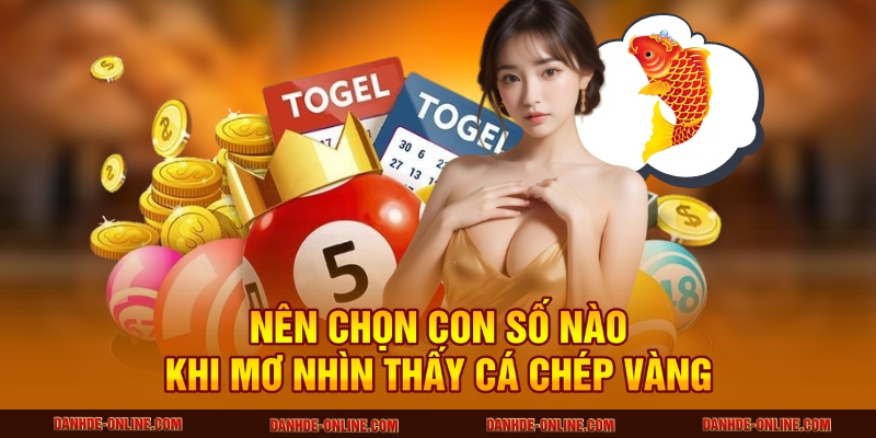 Ý Nghĩa Giấc Mơ Thấy Cá Chép Vàng - Số Đẹp Đánh Đề Online 3 Nên chọn con số nào khi mơ nhìn thấy cá chép vàng