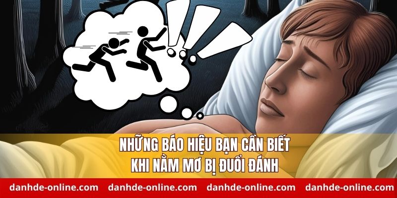 Nằm Mơ Thấy Mình Bị Đuổi Đánh Báo Hiệu Điều Gì 1 Những báo hiệu bạn cần biết khi nằm mơ bị đuổi đánh