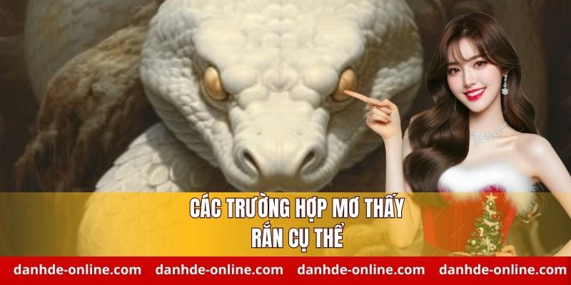 Ý nghĩa giấc mơ thấy rắn chuẩn nhất - Giải mã từ A-Z mọi tình huống 2 Phân tích ý nghĩa mơ thấy rắn trong từng tình huống