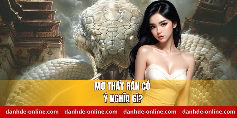 Ý nghĩa giấc mơ thấy rắn chuẩn nhất - Giải mã từ A-Z mọi tình huống 1 Ý nghĩa của giấc mơ thấy rắn cần biết