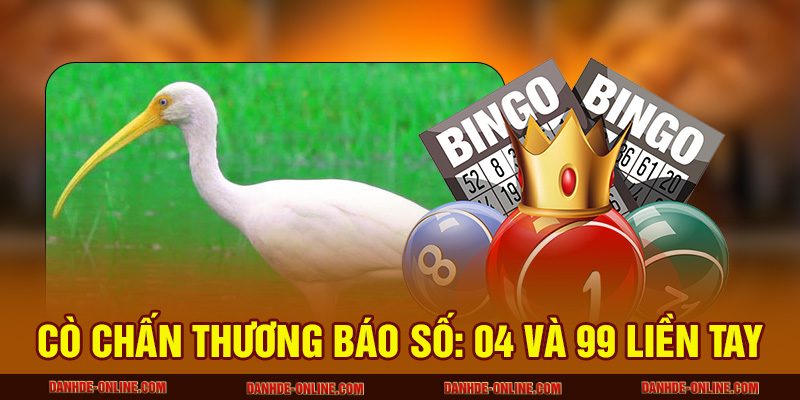 Mơ Thấy Con Cò Báo Hiệu Gì Và Đánh Con Số nào Để Phát Tài? 3 Cò chấn thương báo số: 04 và 99 liền tay