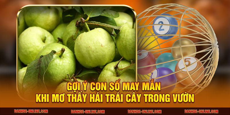Gợi ý con số may mắn khi mơ thấy hái trái cây trong vườn