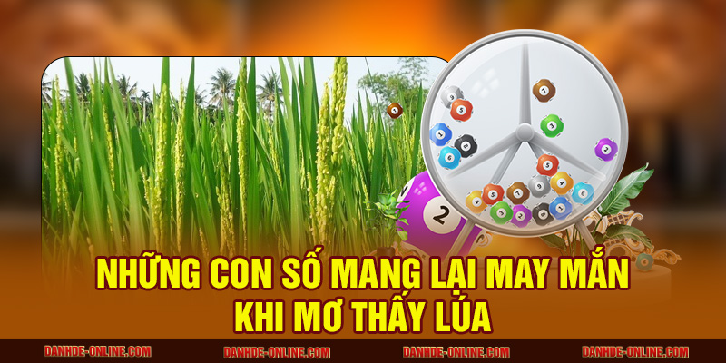Những con số mang lại may mắn khi mơ thấy lúa
